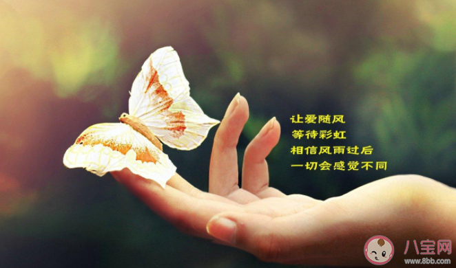 有哪些值得珍藏的人生感悟文案 值得一看的人生感悟句子