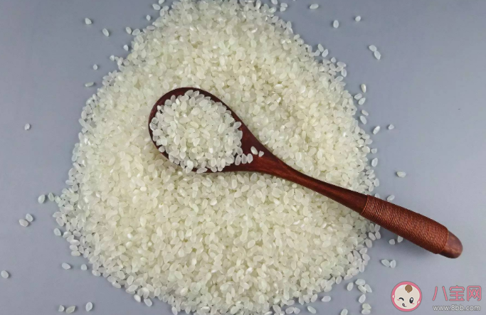 为什么明明密封很好的大米还会长出米虫 蚂蚁庄园11月7日问题答案 为什么明明密封很好的大米还会长出米虫 蚂蚁庄园11月7日问题答案