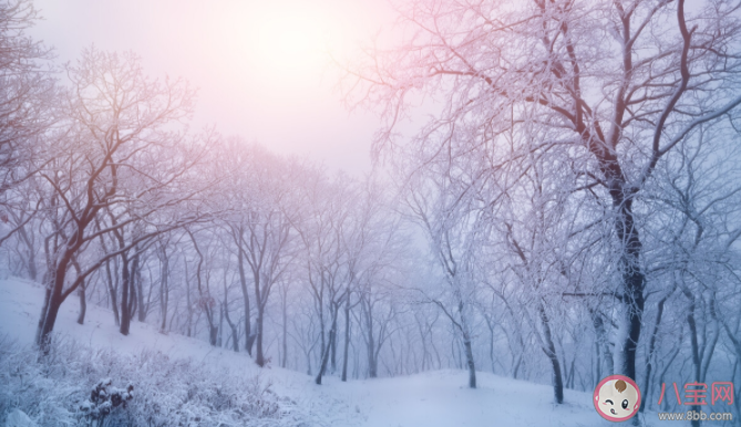 为什么全球变暖还这么冷 今年冬天会比往年冷吗