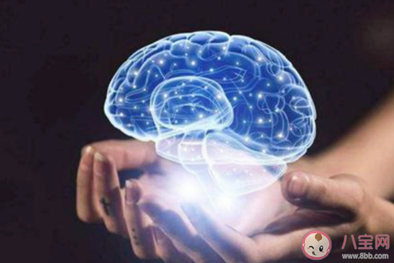 人脑只用了不到百分之五是真的吗 怎么锻炼大脑变得更聪明