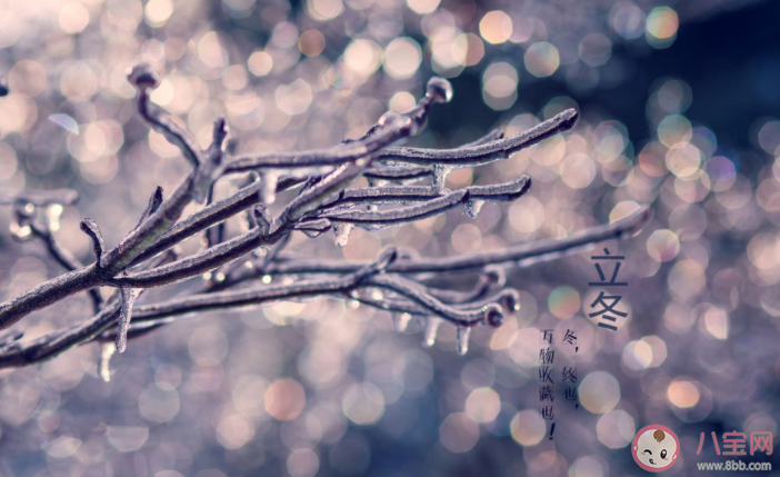 立冬温暖朋友圈文案句子 立冬适合发朋友圈的绝美说说 立冬温暖朋友圈文案句子 立冬适合发朋友圈的绝美说说