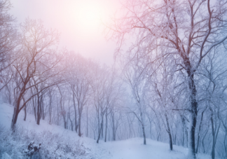 为什么全球变暖还这么冷 今年冬天会比往年冷吗