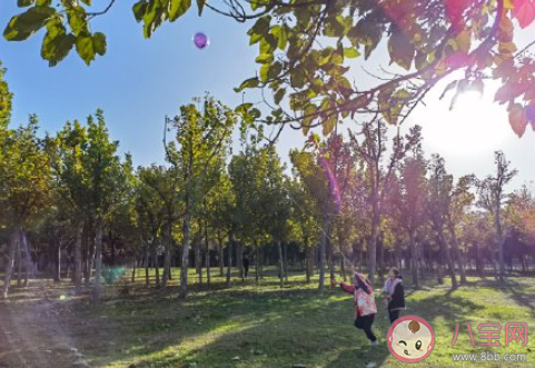 冬日暖阳的句子短句唯美 冬日暖阳的说说心情短语