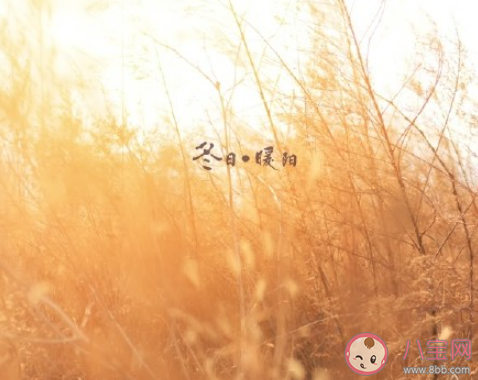 冬日暖阳的句子短句唯美 冬日暖阳的说说心情短语