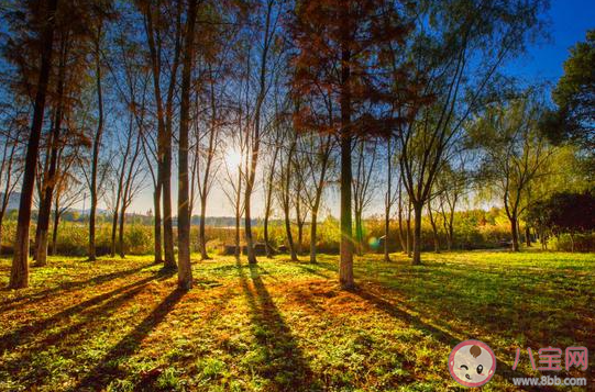冬日暖阳说说配图发朋友圈 有关冬日暖阳的带字图片说说 冬日暖阳说说配图发朋友圈 有关冬日暖阳的带字图片说说