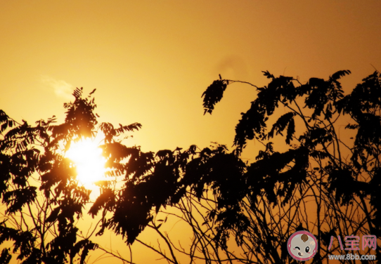 冬日暖阳说说配图发朋友圈 有关冬日暖阳的带字图片说说 冬日暖阳说说配图发朋友圈 有关冬日暖阳的带字图片说说
