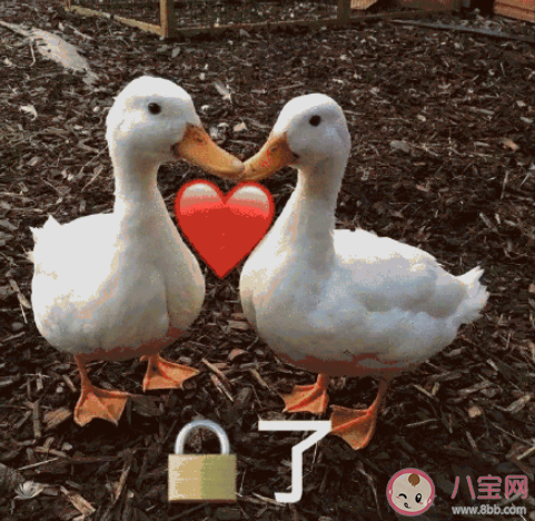 这个时代还流行深情吗 你对待深情的态度是什么