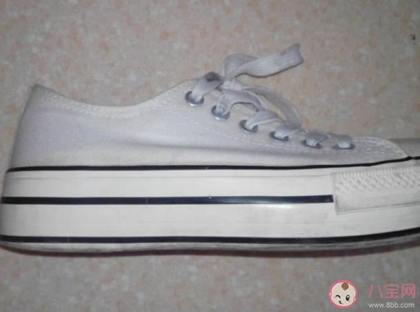 刚洗完的白色帆布鞋裹上纸巾能防止变黄是因为纸巾什么 蚂蚁庄园11月10日正确答案