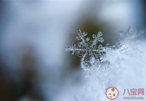 官方明年一二月或发生极端寒潮 今年冬天会否出现雨雪冰冻灾害 官方明年一二月或发生极端寒潮 今年冬天会否出现雨雪冰冻灾害