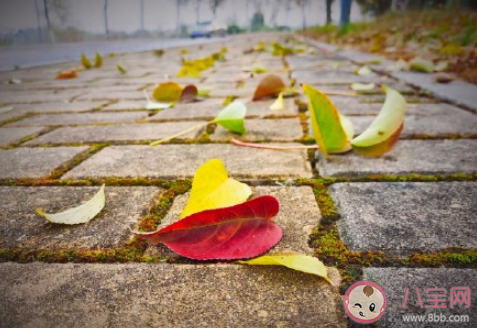 什么叫做把书读厚再把书读薄 对此你是怎样理解的 什么叫做把书读厚再把书读薄 对此你是怎样理解的