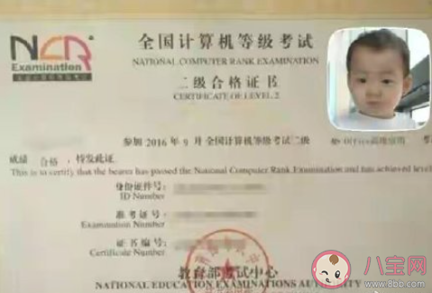 计算机二级证书有必要吗 要不要考计算机二级证书 计算机二级证书有必要吗 要不要考计算机二级证书