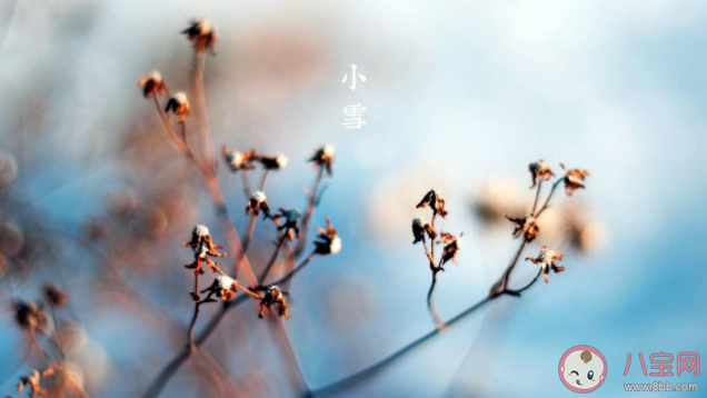 小雪节气品牌文案示例赏析 小雪节气发朋友圈文案句子 小雪节气品牌文案示例赏析 小雪节气发朋友圈文案句子