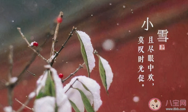 小雪节气品牌文案示例赏析 小雪节气发朋友圈文案句子 小雪节气品牌文案示例赏析 小雪节气发朋友圈文案句子