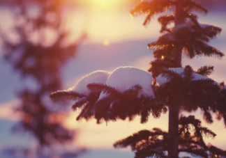 小雪节气品牌文案示例赏析 小雪节气发朋友圈文案句子