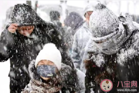 全球变暖趋势下为何还有强寒潮 强寒潮产生的原因是什么