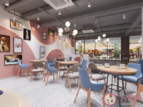 网红店到底是卖环境还是卖食物 怎样看待网红店 网红店到底是卖环境还是卖食物 怎样看待网红店