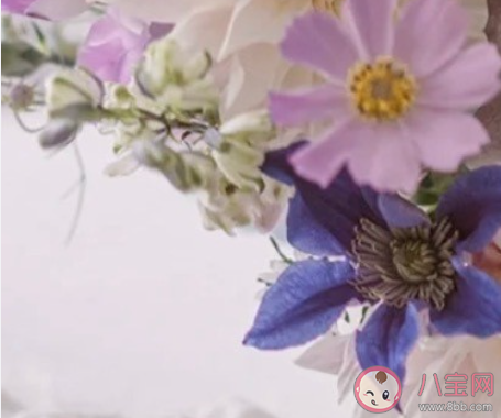 为什么会有越是喜欢越是远离的心理 喜欢为什么想要远离