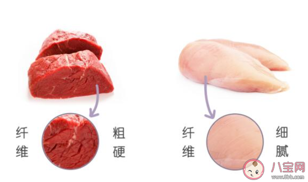 下列哪种肉类属于我们通常所说的白肉 蚂蚁庄园11月15日答案
