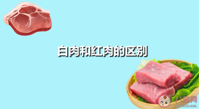 下列哪种肉类属于我们通常所说的白肉 蚂蚁庄园11月15日答案