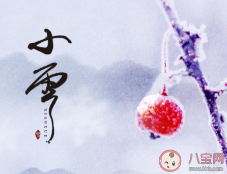 今日小雪精美图片早安心语说说句子2021 小雪节气到了的早安问候语说说2021 今日小雪精美图片早安心语说说句子2021 小雪节气到了的早安问候语说说2021