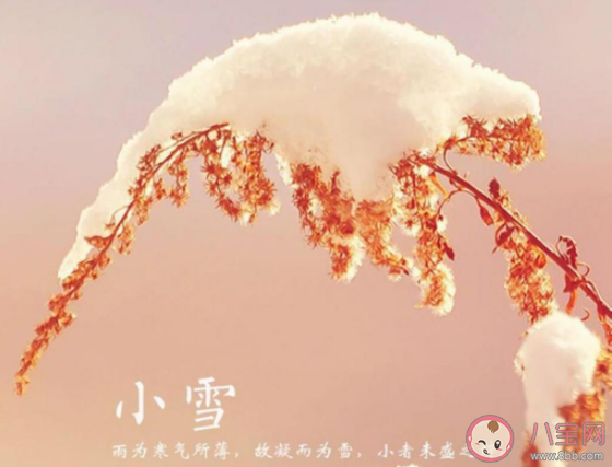 今日小雪精美图片早安心语说说句子2021 小雪节气到了的早安问候语说说2021 今日小雪精美图片早安心语说说句子2021 小雪节气到了的早安问候语说说2021