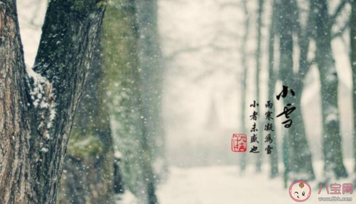 2021幼儿园小雪节气活动报道美篇 2021幼儿园小雪节气活动新闻稿大全 2021幼儿园小雪节气活动报道美篇 2021幼儿园小雪节气活动新闻稿大全