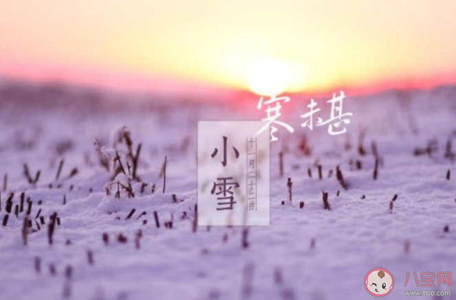 2021幼儿园小雪节气活动报道美篇 2021幼儿园小雪节气活动新闻稿大全 2021幼儿园小雪节气活动报道美篇 2021幼儿园小雪节气活动新闻稿大全