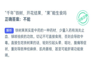 千年铁树开花结果果能生食吗 蚂蚁庄园11月15日答案