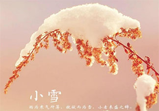 今日小雪精美图片早安心语说说句子2021 小雪节气到了的早安问候语说说2021