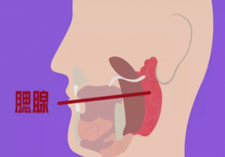 腮腺炎治疗不彻底或导致不育是真的吗 腮腺炎引起的不育可以做试管婴儿吗