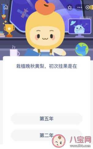 栽植晚秋黄梨初次挂果是在什么时候 蚂蚁庄园11月16日答案解析
