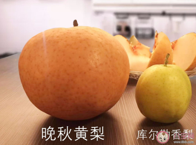 栽植晚秋黄梨初次挂果是在什么时候 蚂蚁庄园11月16日答案解析