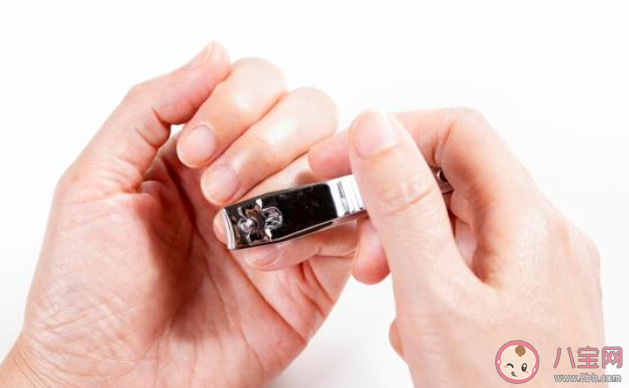 指甲周围长倒刺是因为缺乏维生素吗 蚂蚁庄园11月18日答案最新