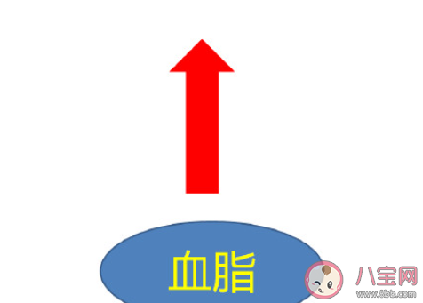 肥胖怎样导致血脂升高 怎样调整饮食能降血脂