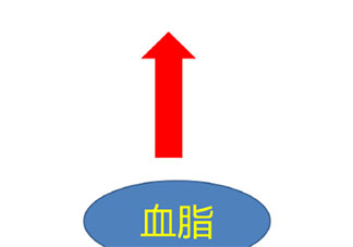 肥胖怎样导致血脂升高 怎样调整饮食能降血脂