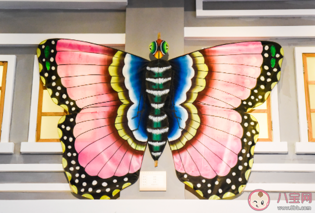 中国宫廷风筝的发源地传承地生产地的村子是哪个 蚂蚁庄园11月17日答案解析