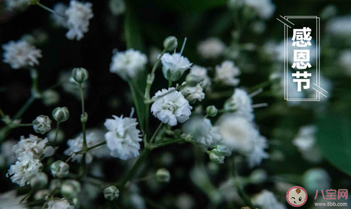 感恩节感谢爸爸妈妈的朋友圈说说 感恩节感谢父母的文案句子 感恩节感谢爸爸妈妈的朋友圈说说 感恩节感谢父母的文案句子