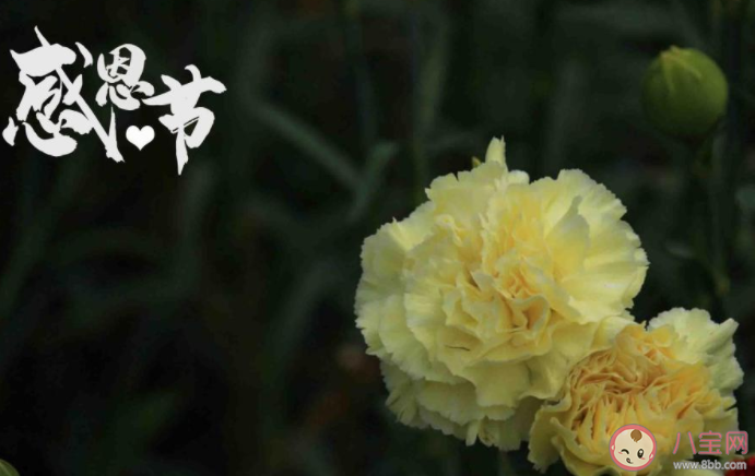 感恩节感谢爸爸妈妈的朋友圈说说 感恩节感谢父母的文案句子 感恩节感谢爸爸妈妈的朋友圈说说 感恩节感谢父母的文案句子