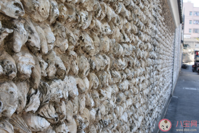 哪个村子是用生蚝壳建房屋的 蚂蚁庄园11月19日问题答案