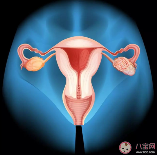 怀孕查出宫颈癌要终止妊娠吗 妊娠期宫颈癌的危害是什么