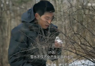 为什么不能在野外直接喝雪水 野外露营需要准备的东西有哪些