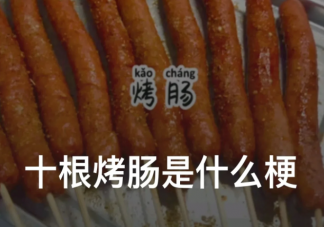 十根烤肠是什么梗什么意思 十根烤肠是来源于什么
