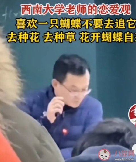 喜欢一只蝴蝶应该去种花种草是什么意思 蝴蝶与花恋爱观是怎样的