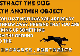 遇到会咬人的狗如何保证自身安全 如何避免被狗咬