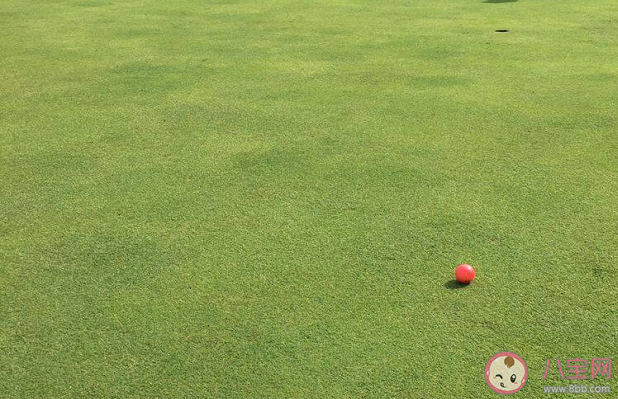 高尔夫球场上有多少个球洞 高尔夫球的玩法是怎样的 高尔夫球场上有多少个球洞 高尔夫球的玩法是怎样的