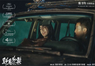 电影《野马分鬃》好看吗 《野马分鬃》讲的是什么