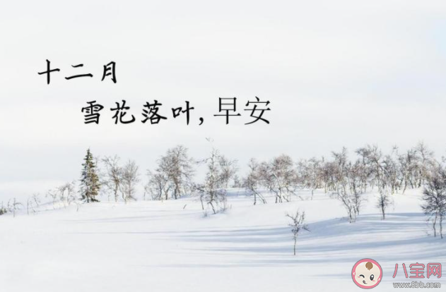 12月第一天发朋友圈正能量说说语录 12月第一天的朋友圈心情说说
