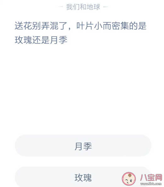 叶片小而密集的是玫瑰还是月季 蚂蚁庄园12月1日答案解析