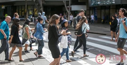 交通事故中行人的哪种行为更容易发生伤亡事件 蚂蚁庄园12月2日答案最新