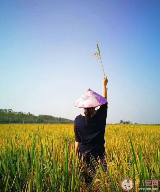 遇事稳得住是一种什么体验 遇事稳得住的人有什么特点 遇事稳得住是一种什么体验 遇事稳得住的人有什么特点